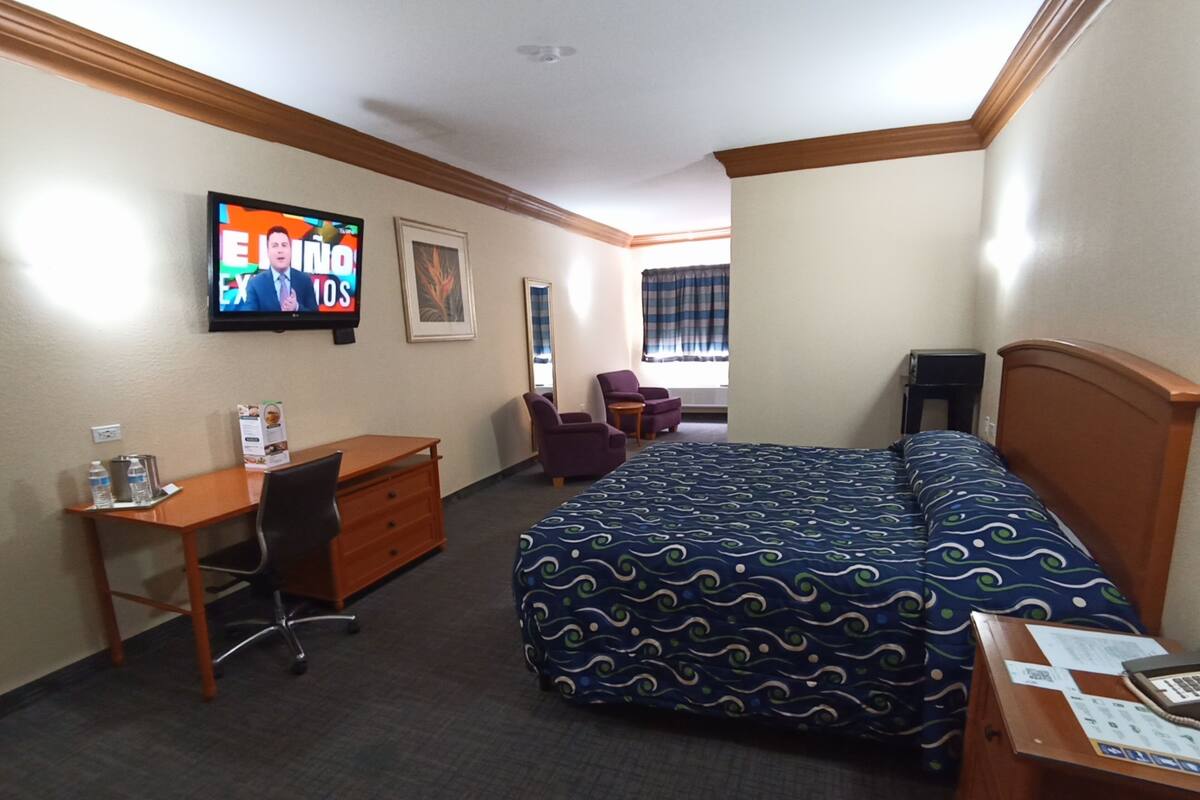 Habitación de hotel con cama, escritorio, silla y televisor en la pared.