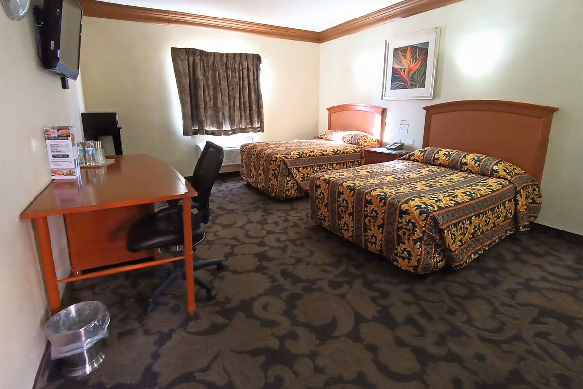 Habitación de hotel con dos camas, un escritorio, una silla, un cesto de basura, una ventana con cortinas, un cuadro en la pared y un termostato.