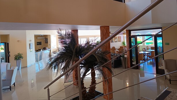 Un vestíbulo de hotel con una palmera, un mostrador de recepción y una escalera.