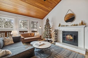 Smart TV, fireplace, DVD player, books