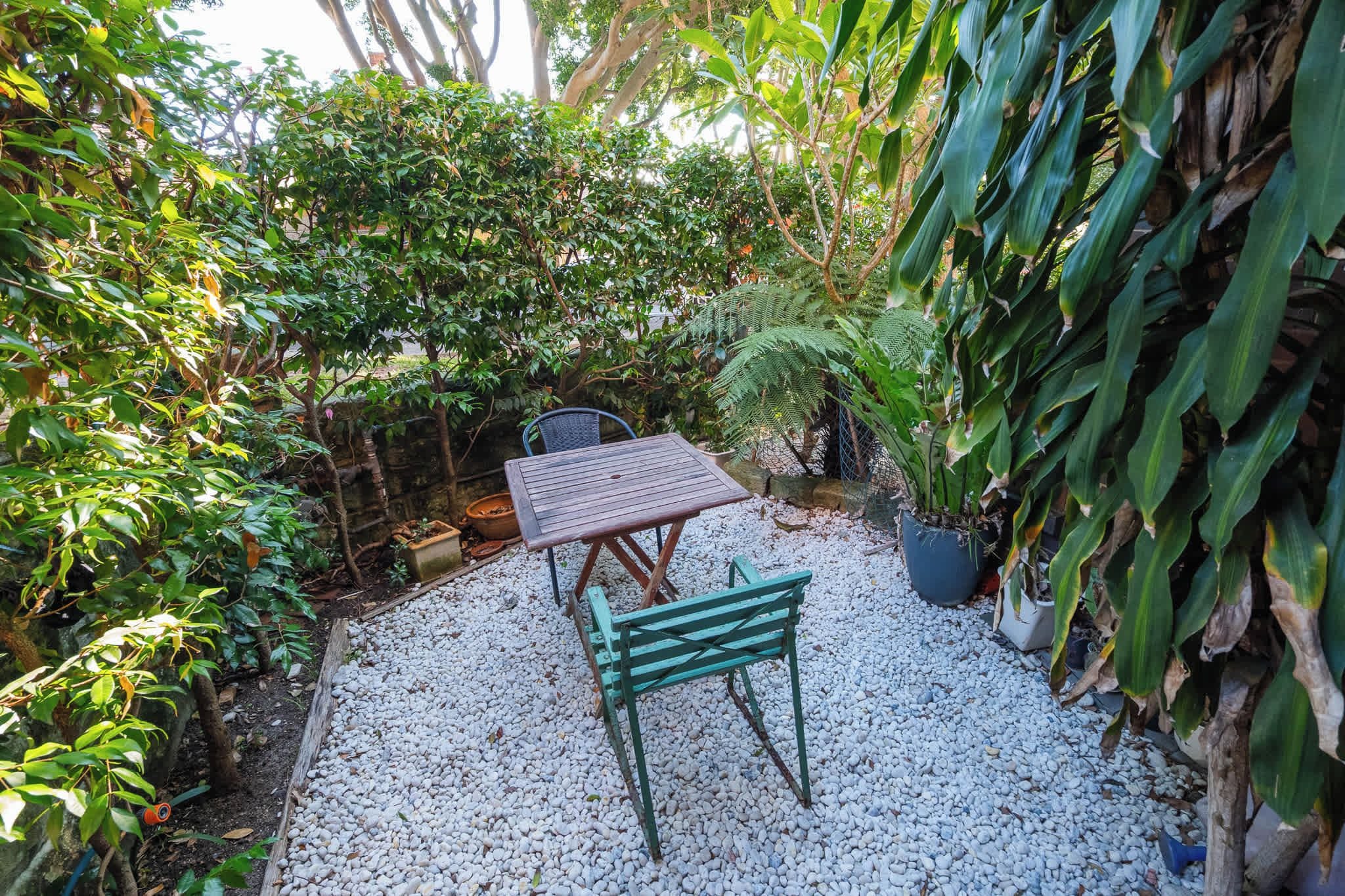 A patio area with a table and chair, surrounded by dense foliage and a variety of plants.