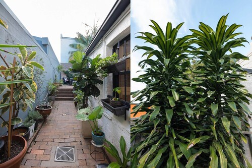 Sunny & Vibrant home in prime Newtown location