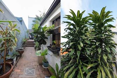 Sunny & Vibrant home in prime Newtown location