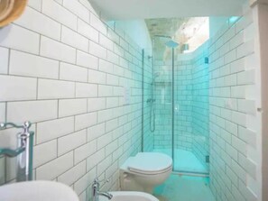 Shower, hair dryer, bidet, towels