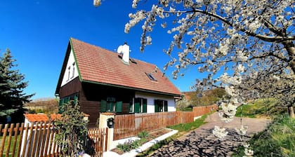 Gemütliches Ferienhaus mit Blick auf die Weinberge. Frühstücksservice möglich!