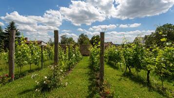 Àrea exterior de l'allotjament