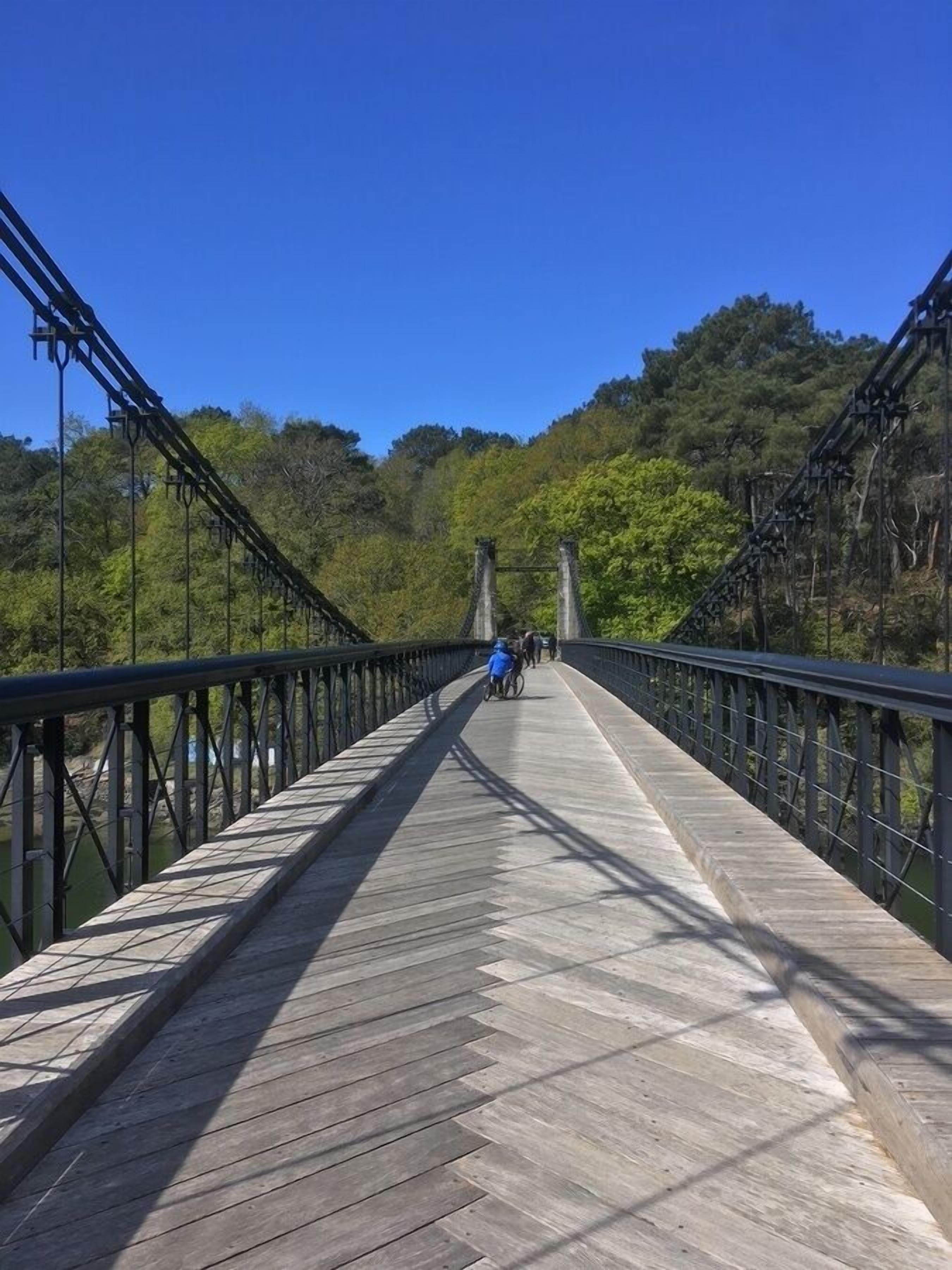 Een hangbrug met een houten dek en metalen leuningen, omringd door groen.