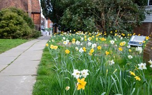 Property grounds - Pittlesden Cottage – Ideal Location - Tenterden (Kent)