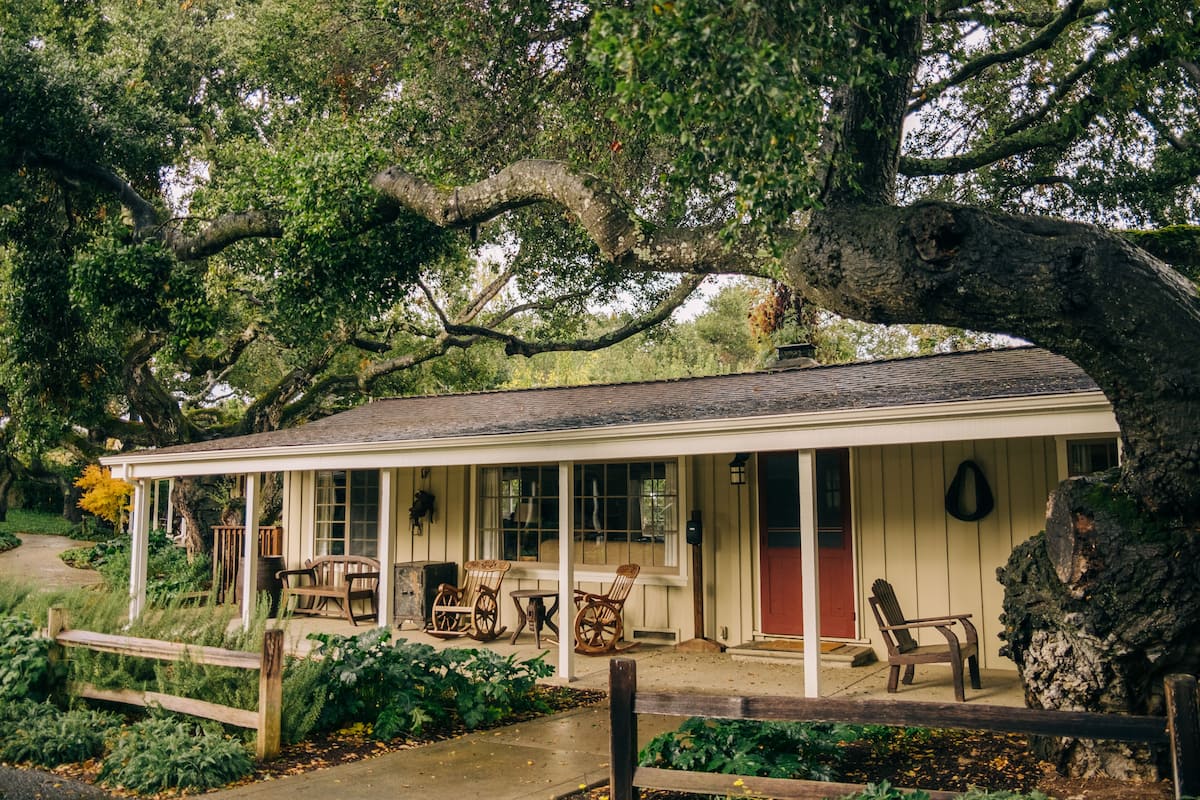 A covered porch with wooden chairs and a table, surrounded by lush greenery and a large tree.