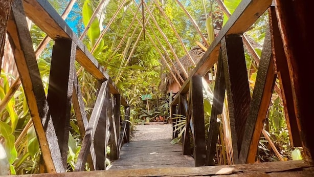 A wooden bridge with a thatched roof, surrounded by lush greenery. - Samanatropicalvillage  (Samaná)