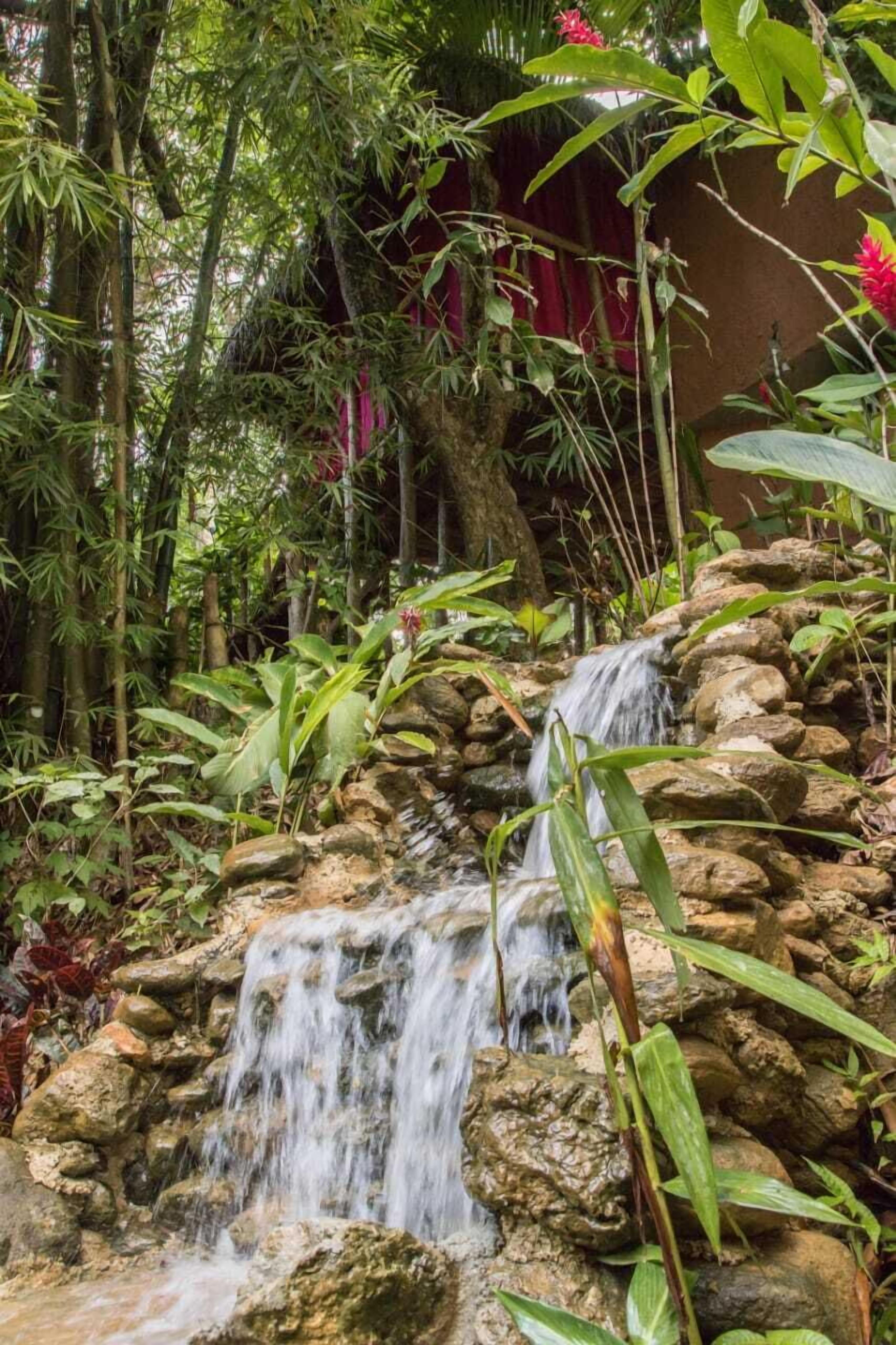 A natural waterfall in a lush garden setting with dense foliage and a rustic stone structure.
