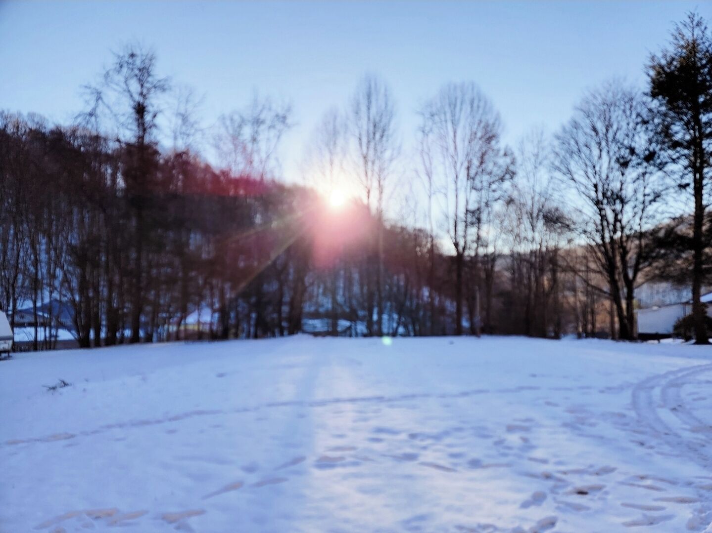 Schneelandschaft mit blauem Himmel und der Sonne, die hinter Bäumen untergeht oder aufgeht.