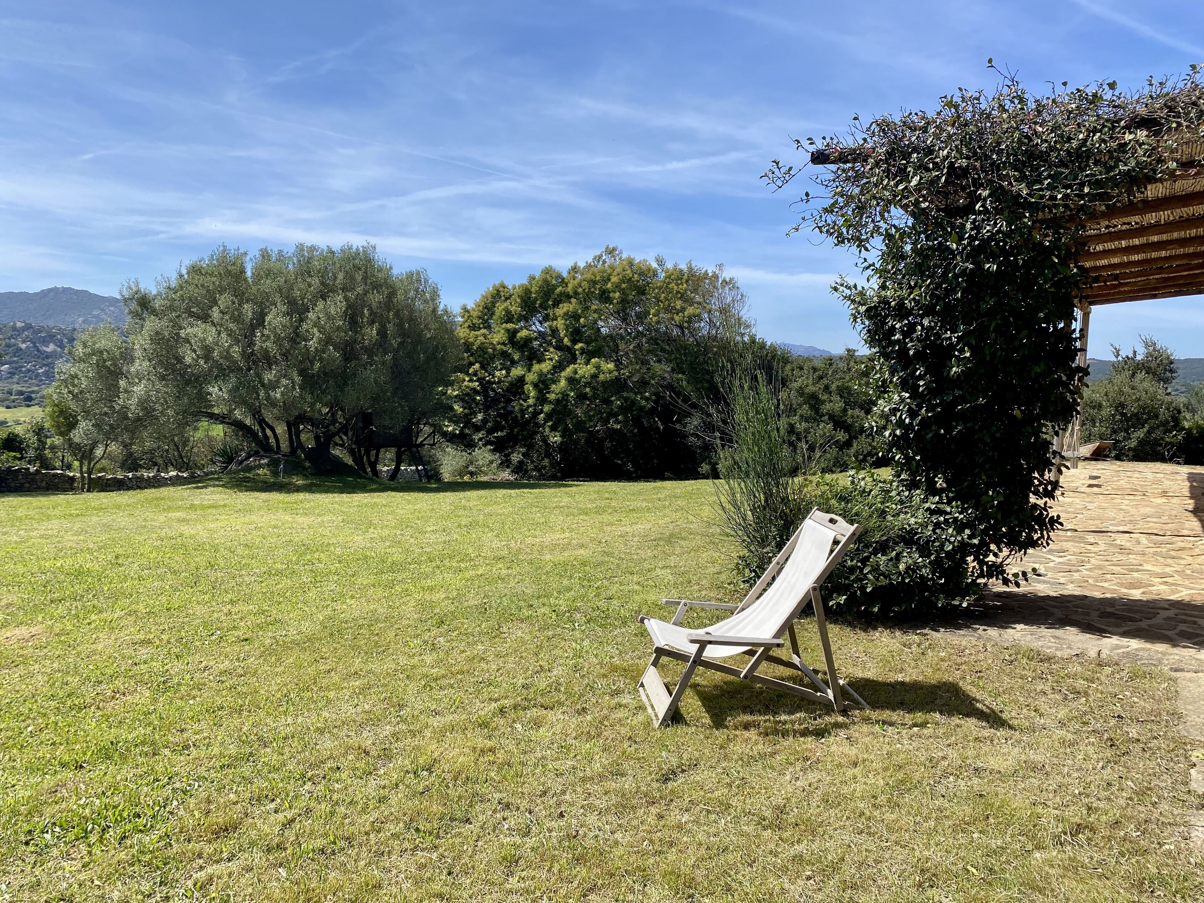A grassy outdoor area with a single white lounge chair, surrounded by trees and a stone wall.