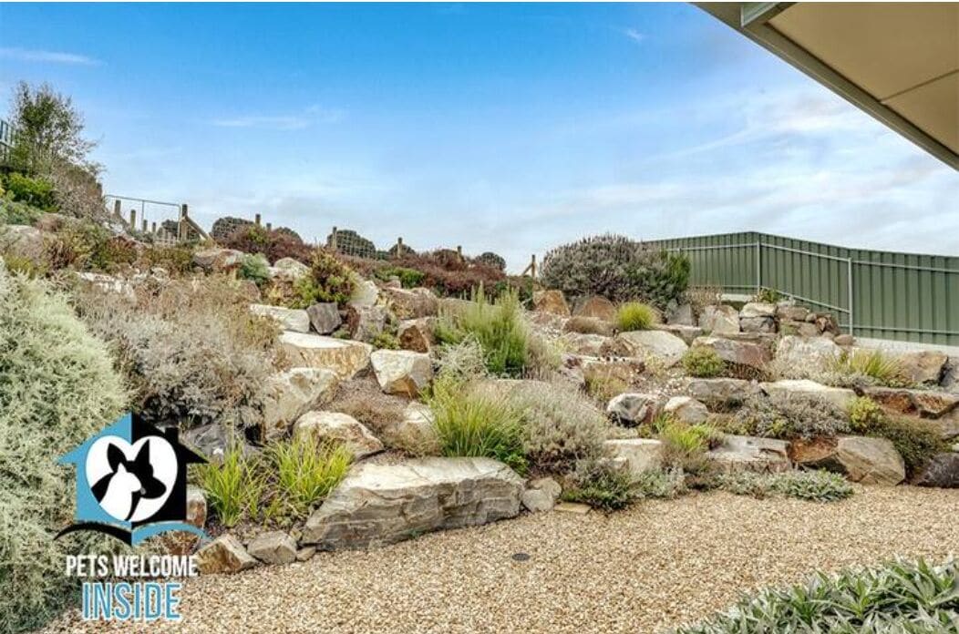 Garden at the rear of the property