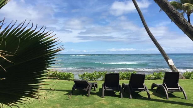 Une zone herbeuse avec trois chaises longues noires disposées face à l’océan, des palmiers et un ciel dégagé.