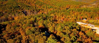 Clyde’s Cabin: Mtn View, Fire Pit, Pet-Friendly