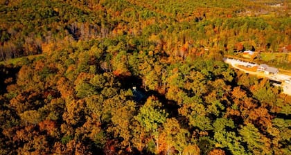 Clyde’s Cabin: Mtn View, Fire Pit, Pet-Friendly