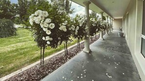 A covered walkway with white flowering trees and a view of a grassy area. - The York Residence in Hartley NSW - Newly Listed (Hartley)