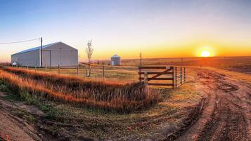 A rural landscape with a dirt road, a wooden gate, and a large barn.