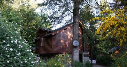 Peaceful and quiet cabin among trees