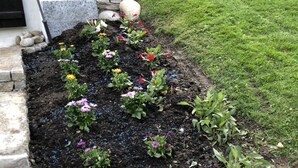 A garden bed with various flowers and plants, bordered by a stone wall and a white building. - Apartment Adele by Interhome (Fiesch)
