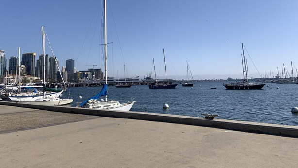 Un puerto deportivo con varios veleros amarrados, un horizonte urbano al fondo y un cielo azul despejado.