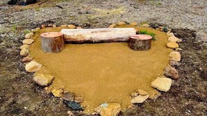 Ein kreisförmiger Feuerkorb mit Holzscheiten und Steinen, umgeben von Bäumen im Wald.