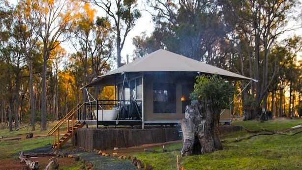 Eine Holzhütte mit überdachter Terrasse, Feuerstelle und einer naturbelassenen Waldlandschaft.