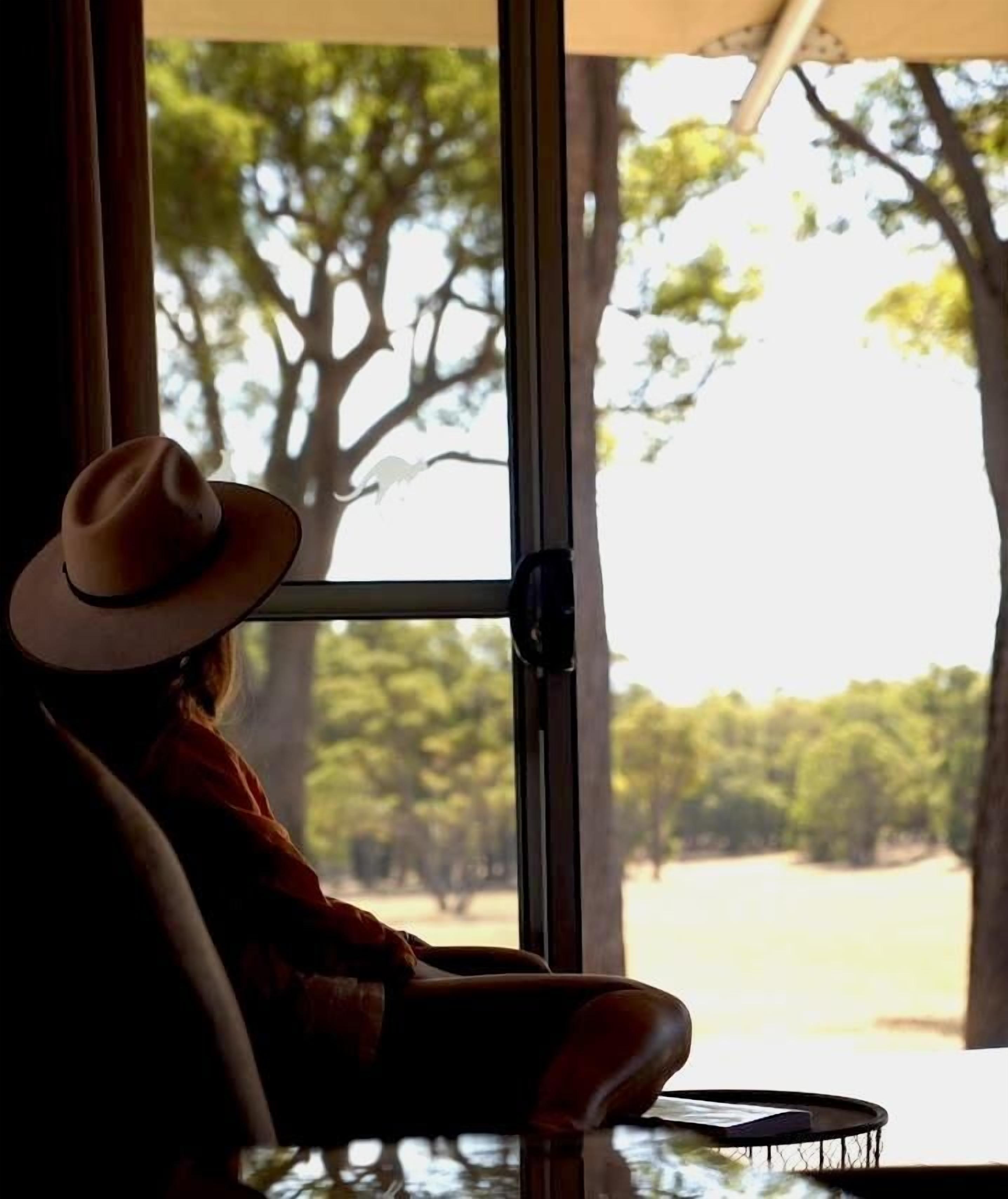 Una persona sentada junto a una ventana con vista a árboles.