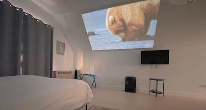 Prime Location Downtown Studio