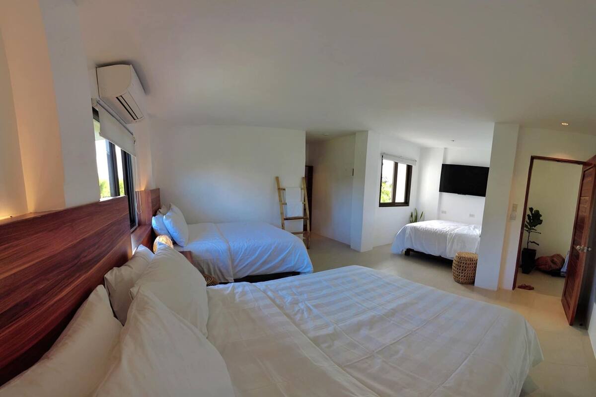 Habitación de hotel con dos camas, cabecero de madera, televisión y ventana.