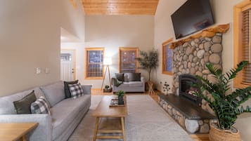 TV connectée, cheminée, livres, chaßne hi-fi