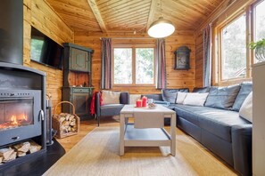 TV, fireplace, DVD player, video library