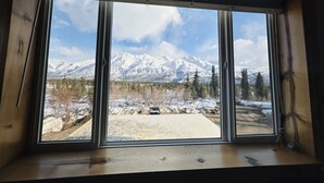 A large window with a view of snow-covered mountains and a forested area.