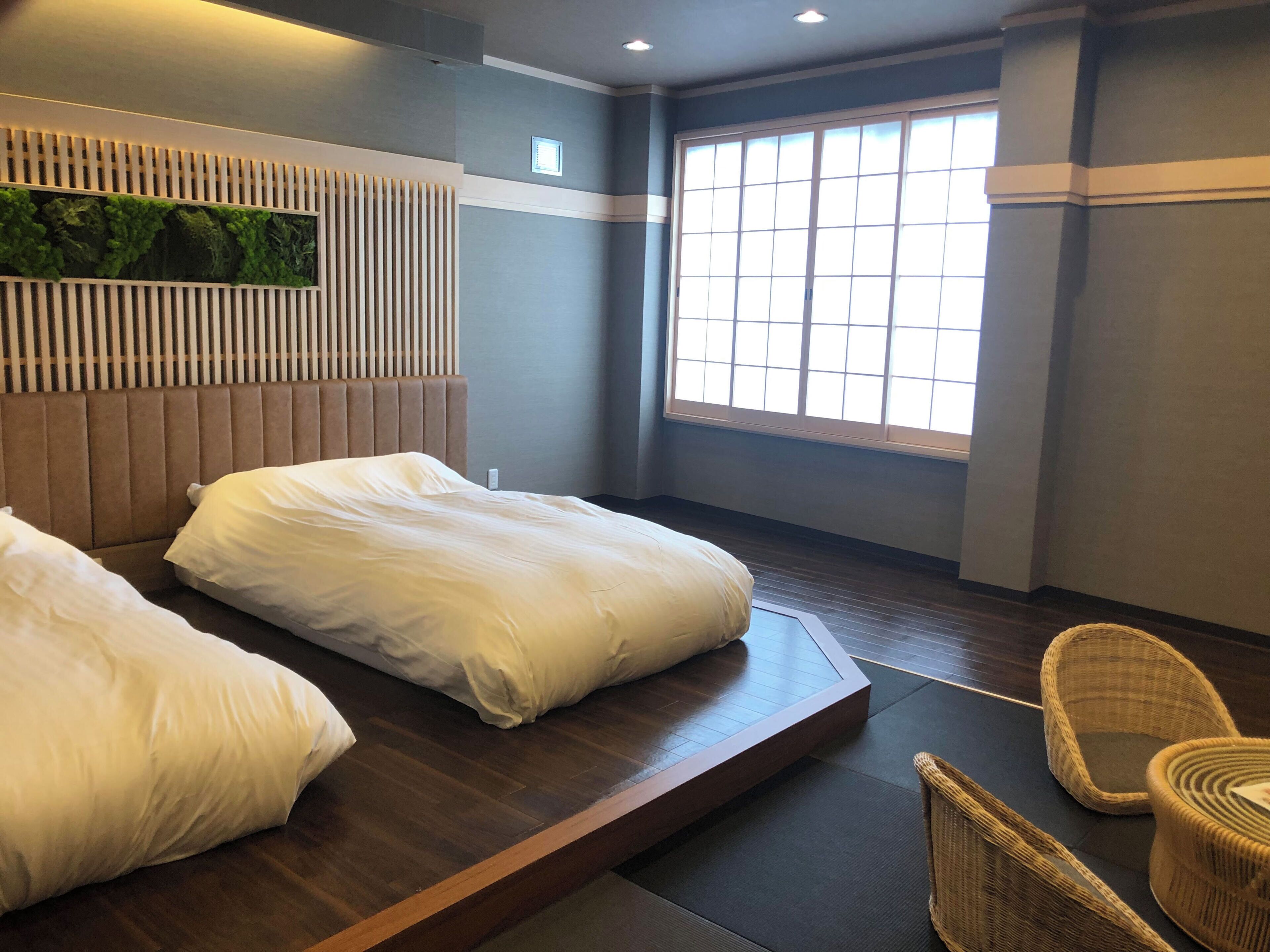 Ein Hotelzimmer mit zwei Betten, einem großen Fenster und einer Wandpflanze.