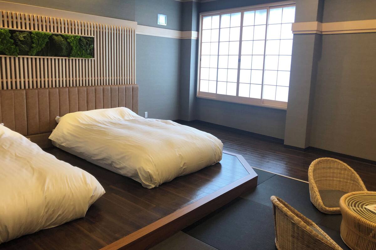 Une chambre d’hôtel avec deux lits, une grande fenêtre et une plante fixée au mur.