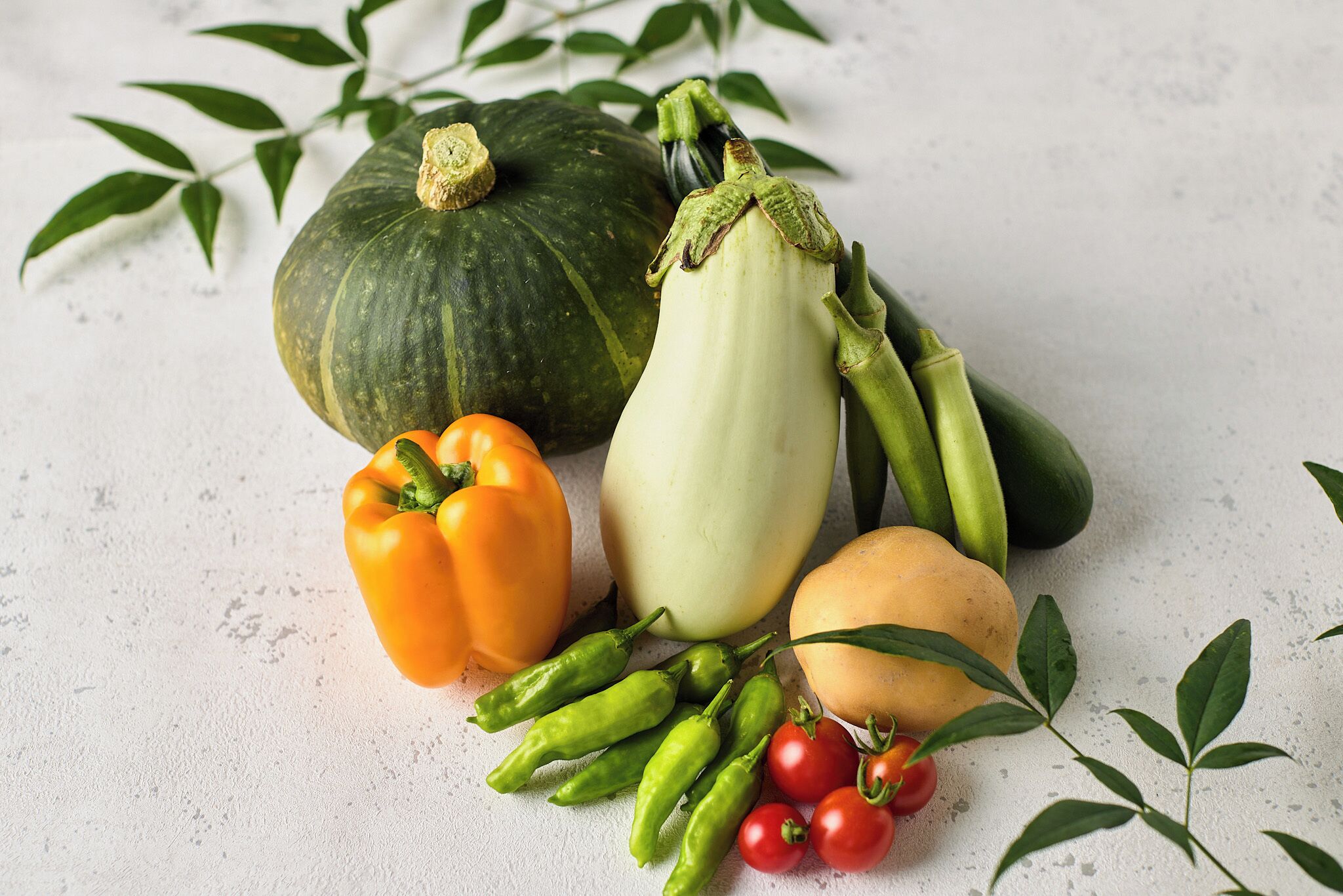 A variety of vegetables including a pumpkin, eggplant, bell pepper, chili peppers, and tomatoes.