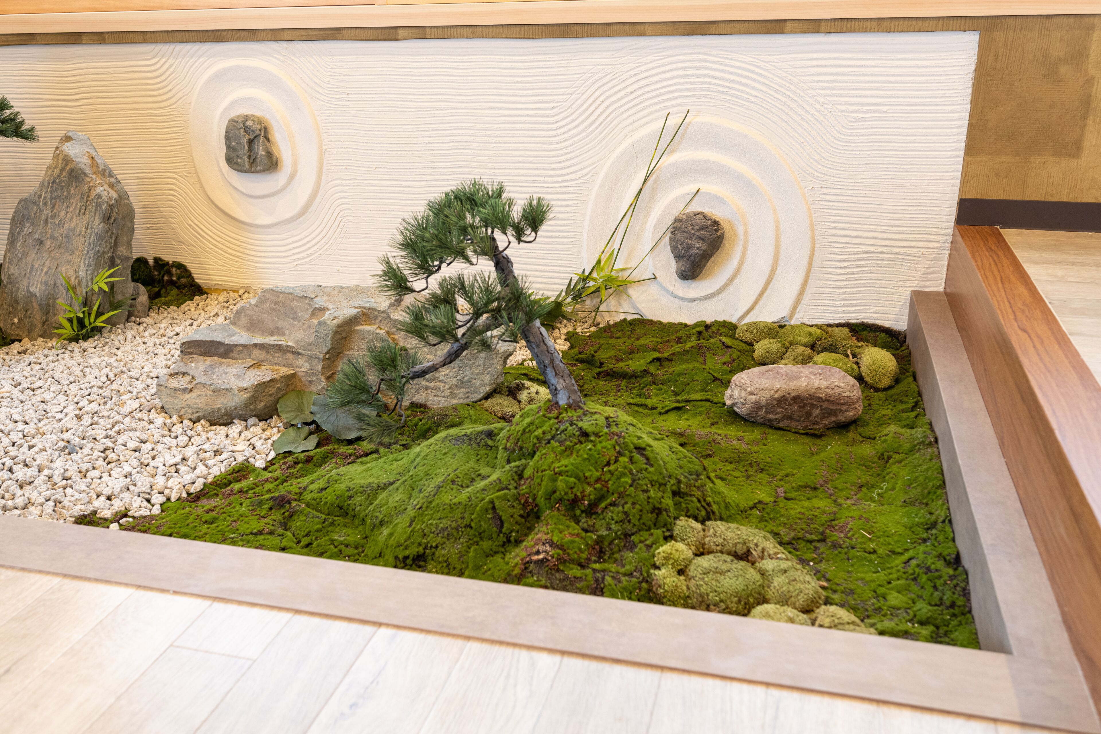 A small indoor garden with rocks, moss, and a pine tree.
