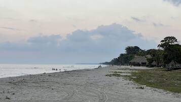 Una playa con una cabaña de techo de paja y una pasarela de madera.