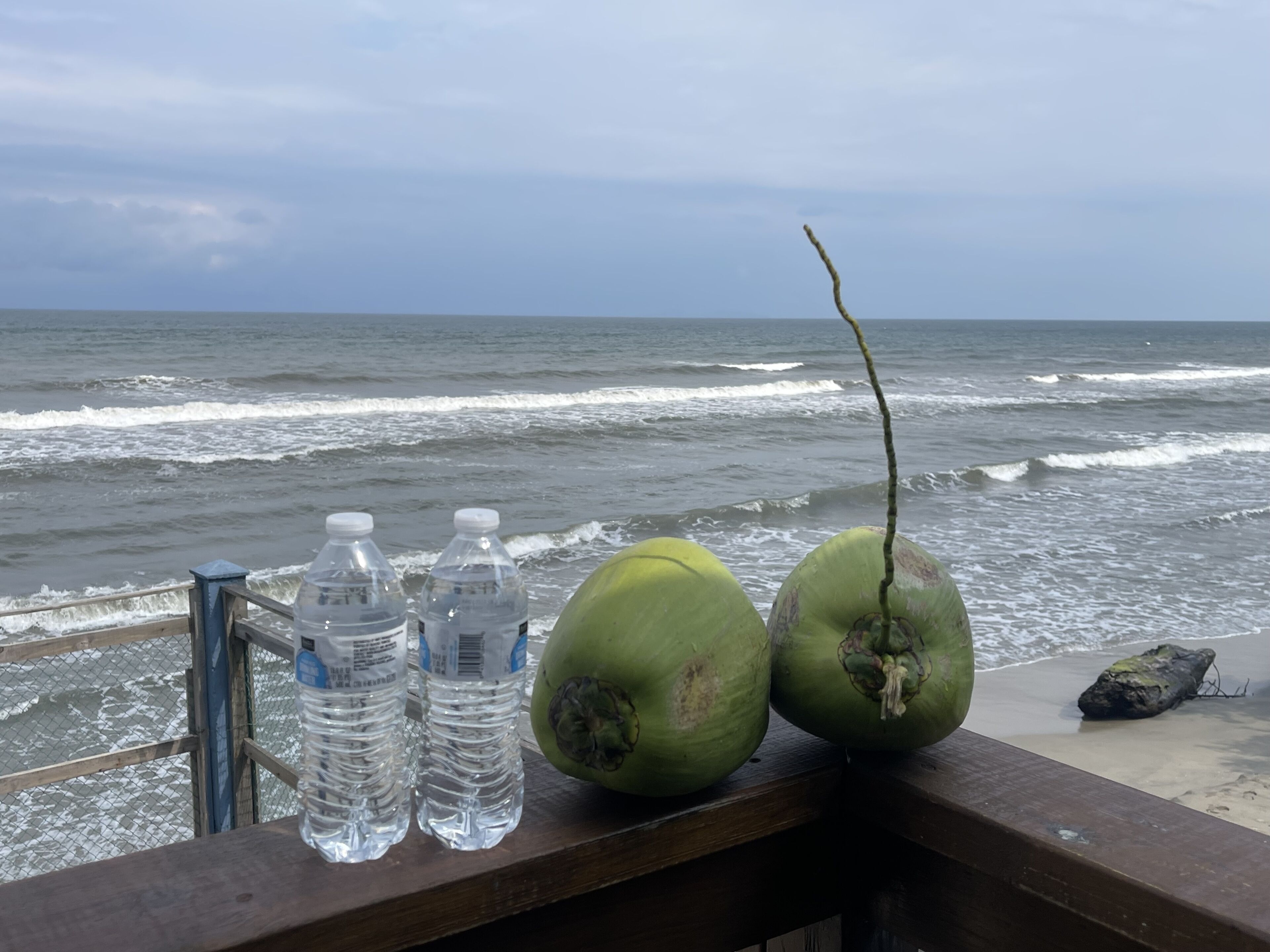 A wooden railing overlooking the ocean with two coconuts and three water bottles.