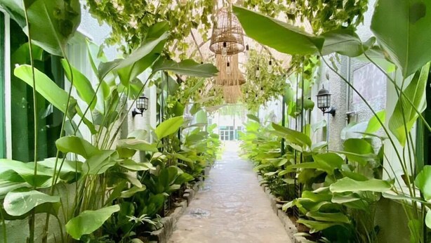 A pathway flanked by lush green plants and hanging light fixtures, leading to a building entrance. - HOTEL EUROASIA (Angeles City)