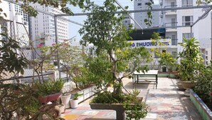 A rooftop garden with potted plants and a bench, surrounded by a metal fence.