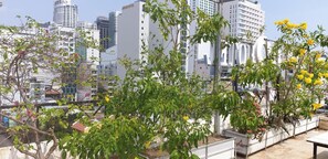 A rooftop garden with potted plants and flowers, surrounded by city buildings. - Ximao Hotel Nha Trang by Zuzu (Nha Trang)