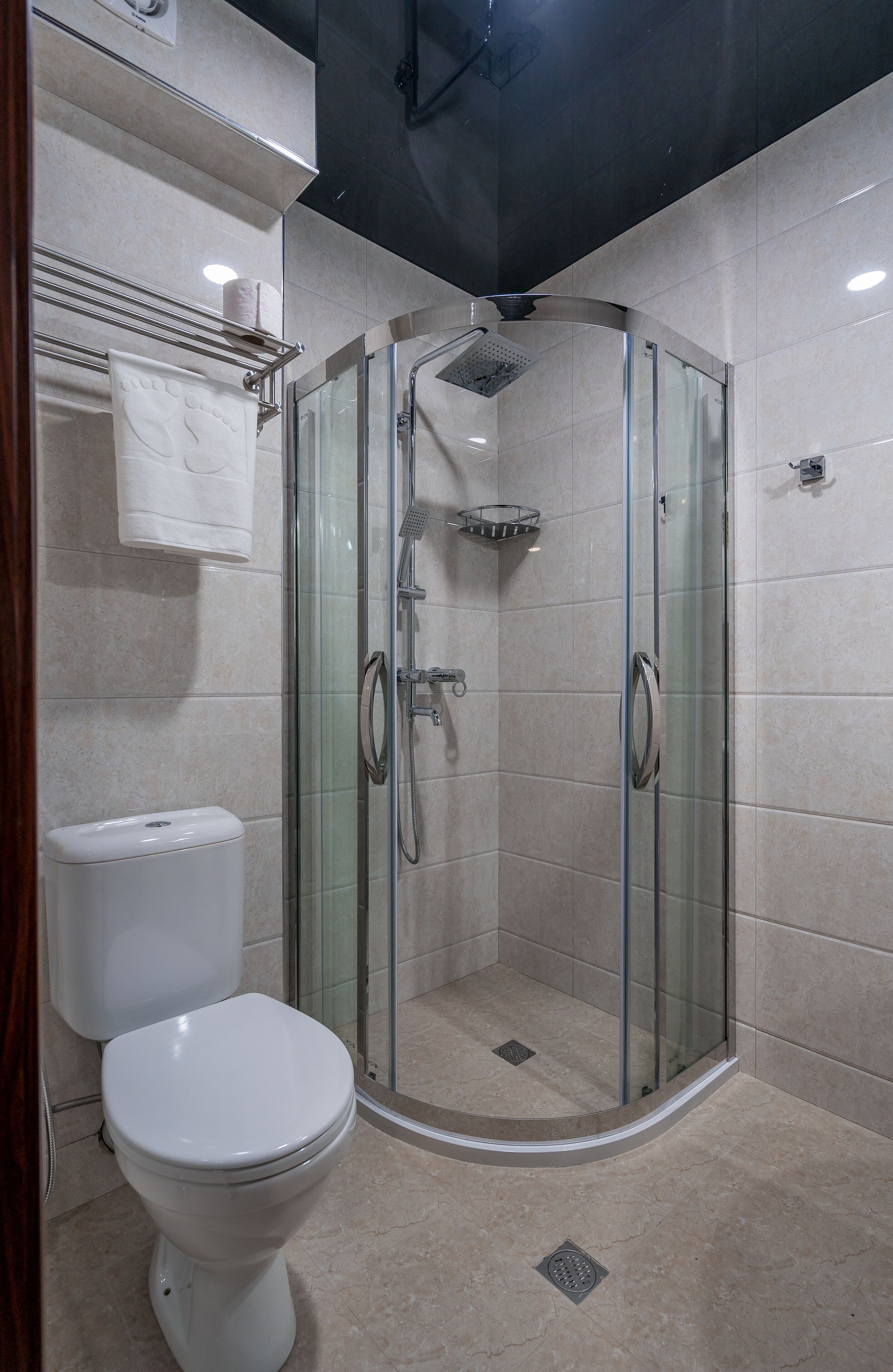 A modern bathroom with a glass-enclosed shower, a white toilet, and a towel rack.