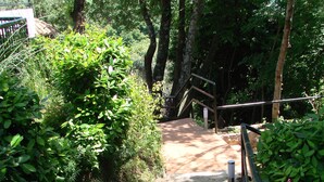 A stone pathway leading to a wooden staircase surrounded by lush greenery.