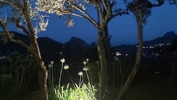 Área da propriedade