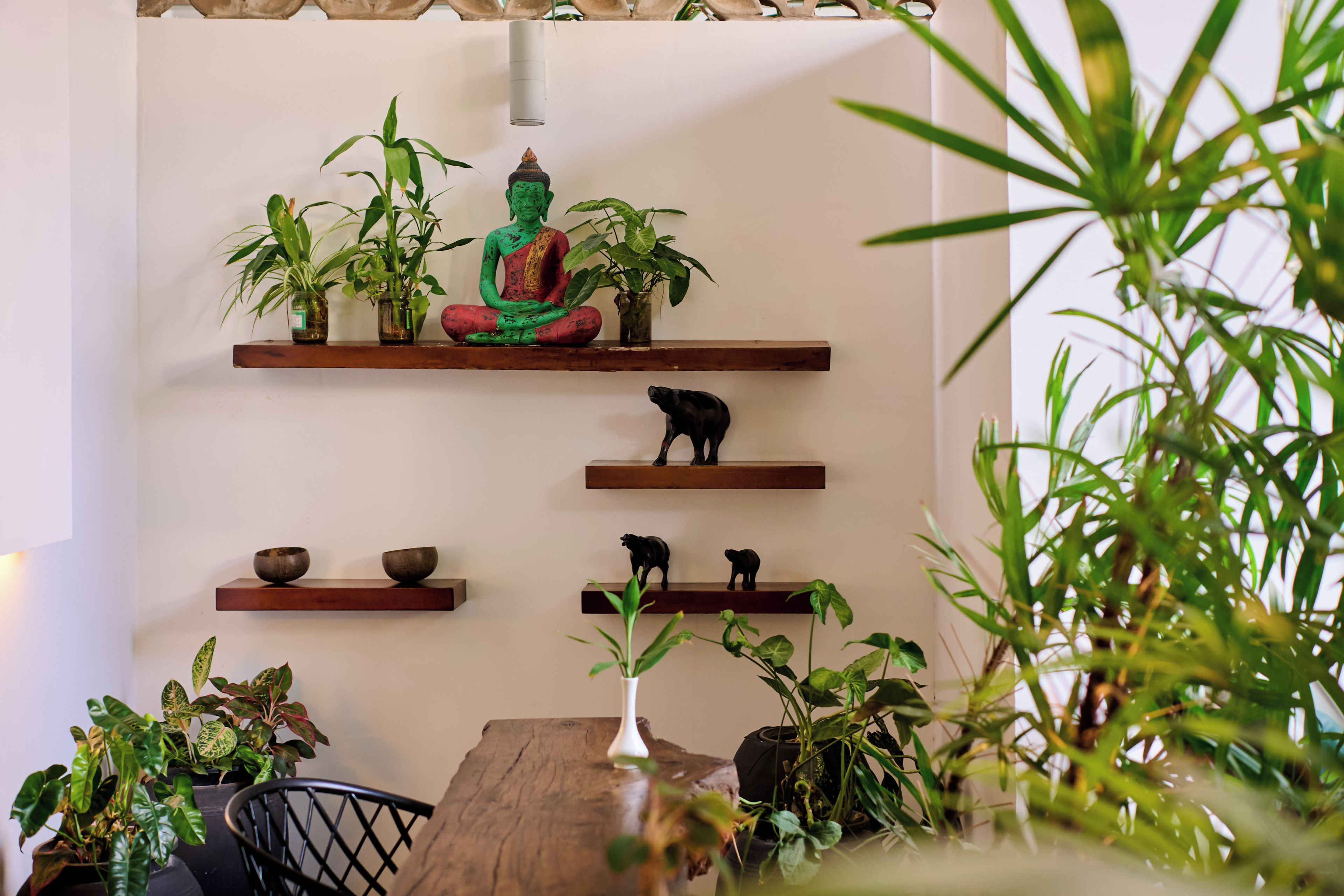 A room with a wooden table, shelves with plants, and a Buddha statue.