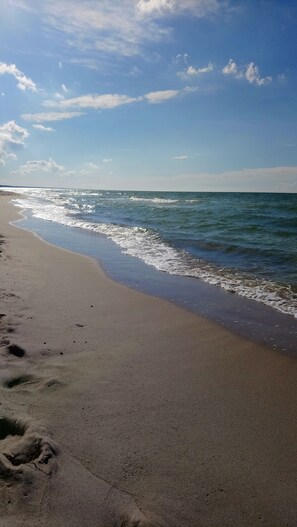 Beach nearby, sun loungers