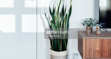 Spartan_Test testing_Apr1