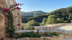 A stone wall with a climbing plant and flowers, a stone pathway, and a view of green hills and mountains.